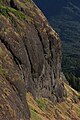 Columbia River Basalt Group