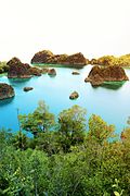 Karst Landscape of Piaynemo Island.jpg