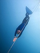 Freediver Moalboal.jpg