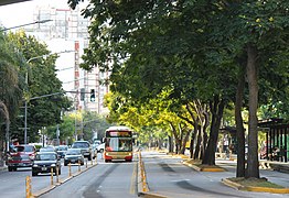 Maipu Avenue in Florida, Buenos Aires Province.jpg