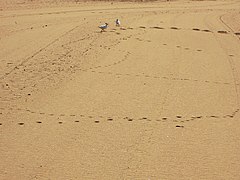 Playa de El Aculadero (8978500606).jpg