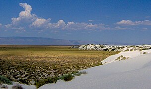 View from a dune at White Sands