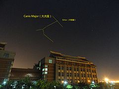 Canis Major taken in Jimei University 20131123.jpg