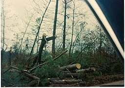 Cobb County 1992 Tornado Damage Wooten Lake Road's Western Side.jpg