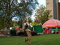 Circus Festival 2007: Juggler with diabolo