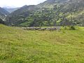 Inka Ruine Vitcos - Rosaspata