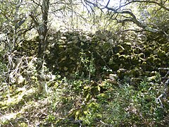 Mur oppidum de Saint-Julien La Bastidonne.jpg