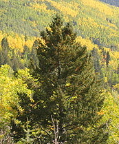 Near Santa Fe, New Mexico