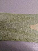 Spinach chromatography 20211026 112837.jpg