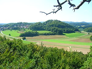 Burgstall Spies - Ansicht des Burgberges von Osten vom Schweinsberg aus (August 2008)