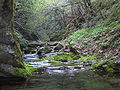 torrente Zù (Fonteno)