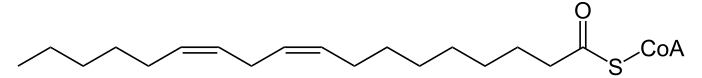 Linolyl-CoA.svg