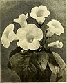 "The_Gardeners'_chronicle_-_a_weekly_illustrated_journal_of_horticulture_and_allied_subjects_(1897)_(14779770941).jpg" by User:Fæ