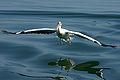 in Walvis Bay, Namibia.