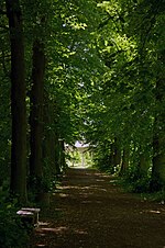 Thumbnail for File:Allee im Schlosspark Wechselburg an der Zwickauer Mulde - Sachsen.jpg