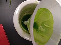 Spinach chromatography 20211026 093046.jpg