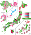 1996 Japanese General Election Winner Vote Share