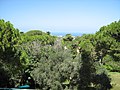 2nd Floor Theater Back Door View to Haifa