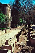 Alyscamps, the old cemetery of Arles