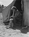 Eighteen year-old mother from Oklahoma, now a California migrant, March 1937