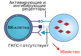 NK-recognition-ru.svg