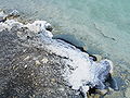 Salt-covered stones at Dead Sea