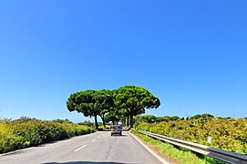 Ostia Antica- 2014 by-RaBoe 01.jpg