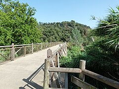 Pont de Can Pàmies - P1070689.jpg