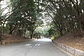 兵庫県立明石公園 (2)