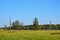 Nature reserve Moenchbruch