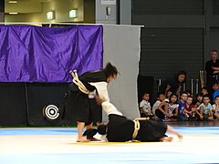 Shōrinji-kempō 5.jpg