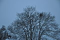 Le Havre (France): under snow