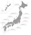 Tōkyō Proportional Block