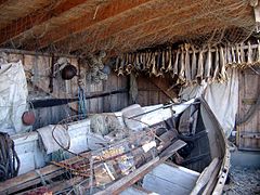 Dried fish at Porsangerfjord