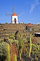 Lanzarote, Jardín de Cactus from César Manrique