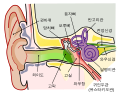 한국어