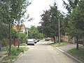 Street in Ledinci