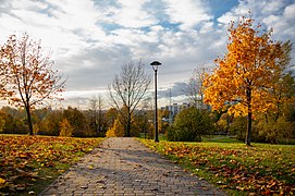 Park Środula, Sosnowiec, Jesień 2021.jpg