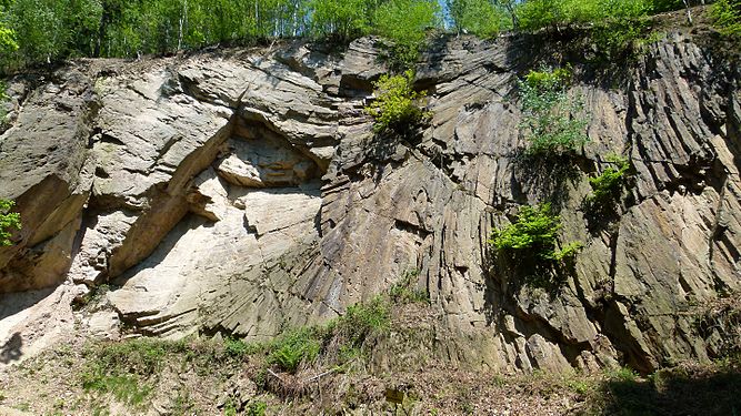 Porphyrfächer im Tharandter Wald © Oscar 0711