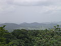 View from Canopy Tower in Gamboa, Panama