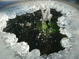 A fountain with ice