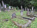 Deutsch: Jüdischer Friedhof in Bleicherode, Thüringen