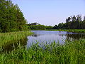 English: Pond in Orzesze Polski: Pasieki