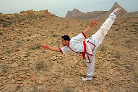 حرکات انفرادی کنگ فو، محمد اکبری Kung fu in iran (Qom) Mohammad Akbari 07.jpg