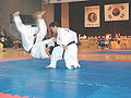 osmwiki:File:Hapkido5.jpg