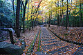 Tatsuno Park / 龍野公園