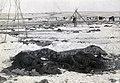 1890 - Wounded Knee Massacre