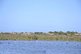 Delta del río Muluya 05.jpg