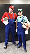 Mario and Luigi cosplay 2017.jpg