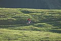 Mountainbiking Bödele